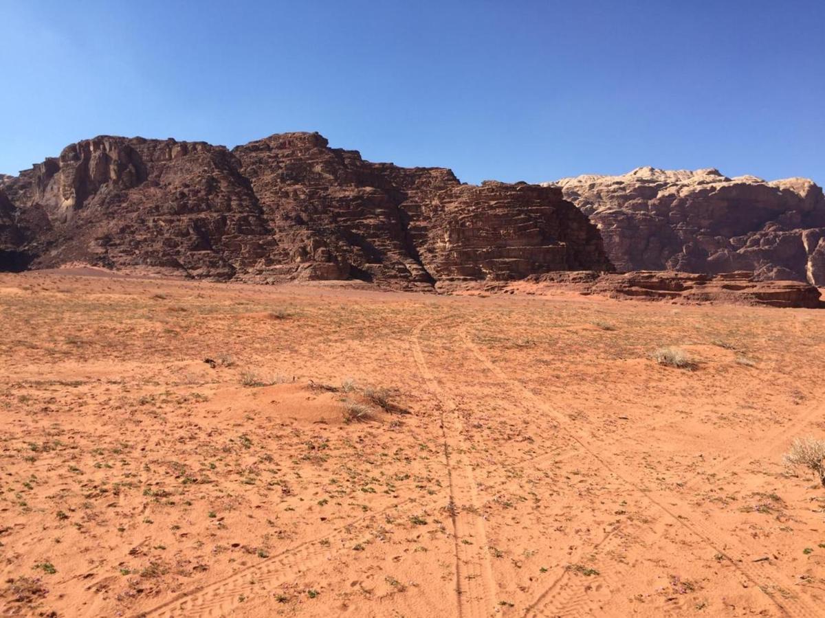 Wadi Rum Bedouin Experience المظهر الخارجي الصورة