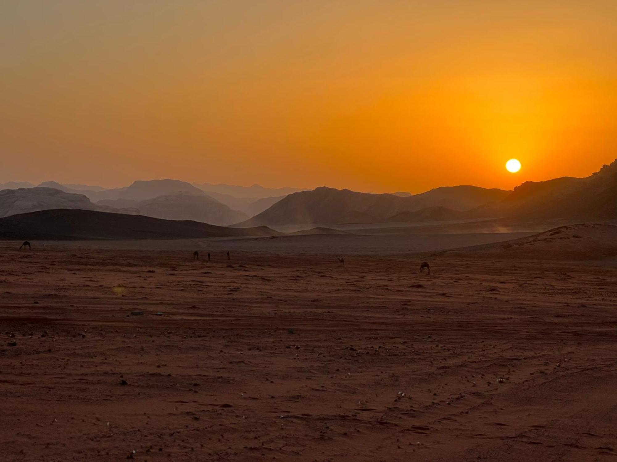 Wadi Rum Bedouin Experience المظهر الخارجي الصورة