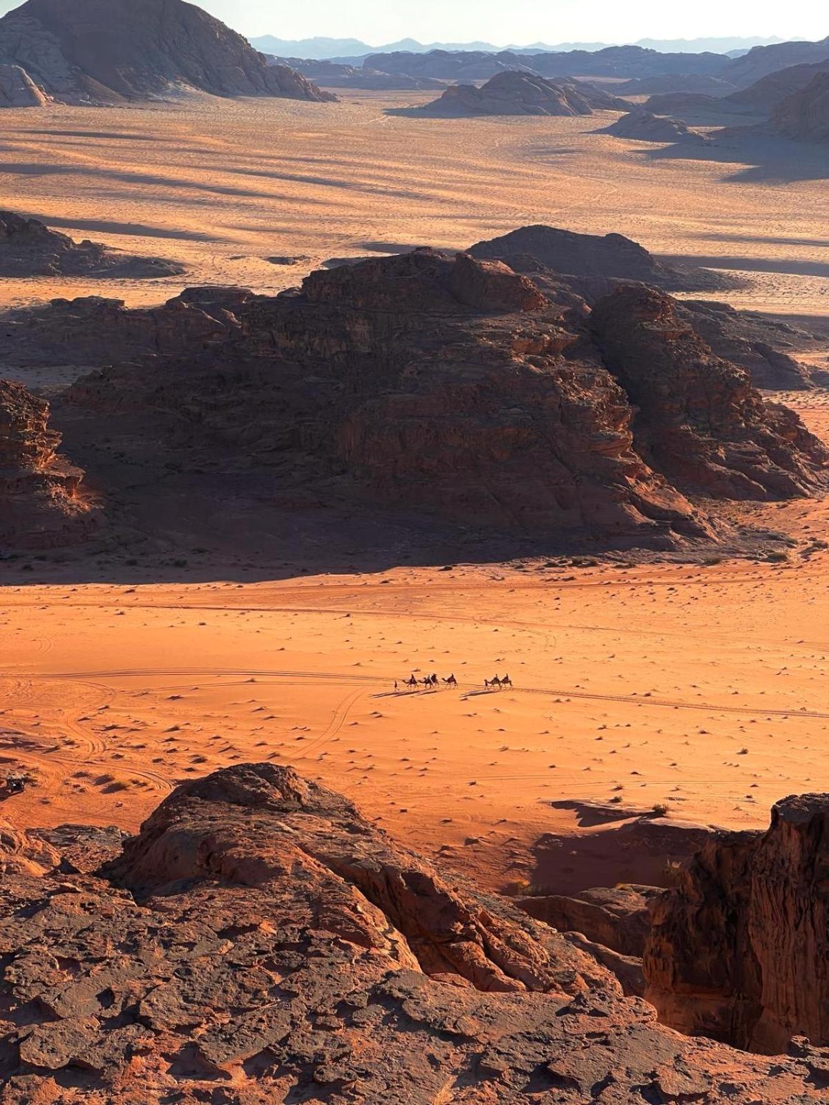 Wadi Rum Bedouin Experience المظهر الخارجي الصورة